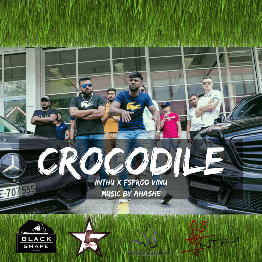 Picture of Crocodile