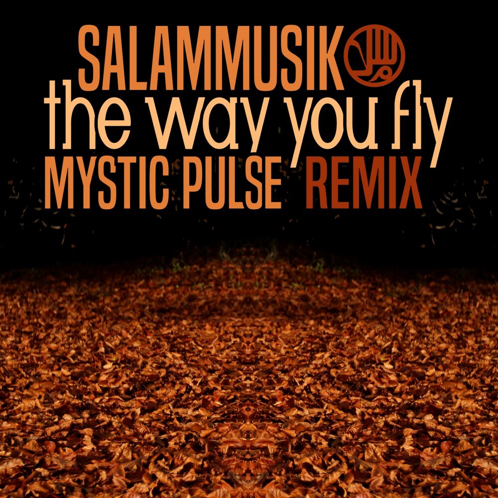Picture of The Way You Fly (Jangan Nangis) (Mystic Pulse Remix)
