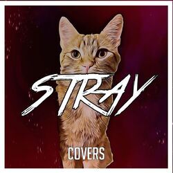 Cover of Stray (Covers)