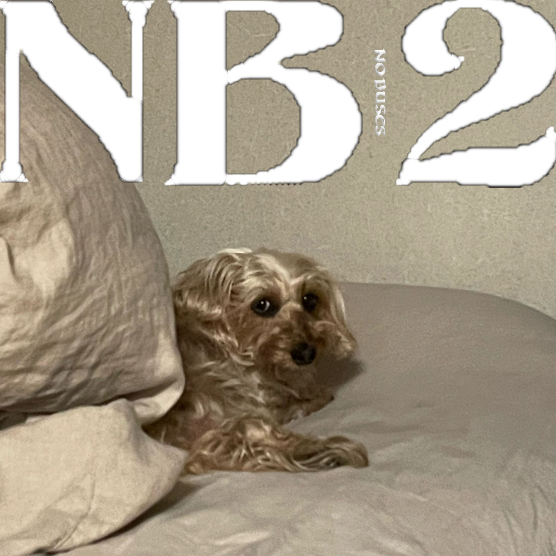 Album cover of NB2