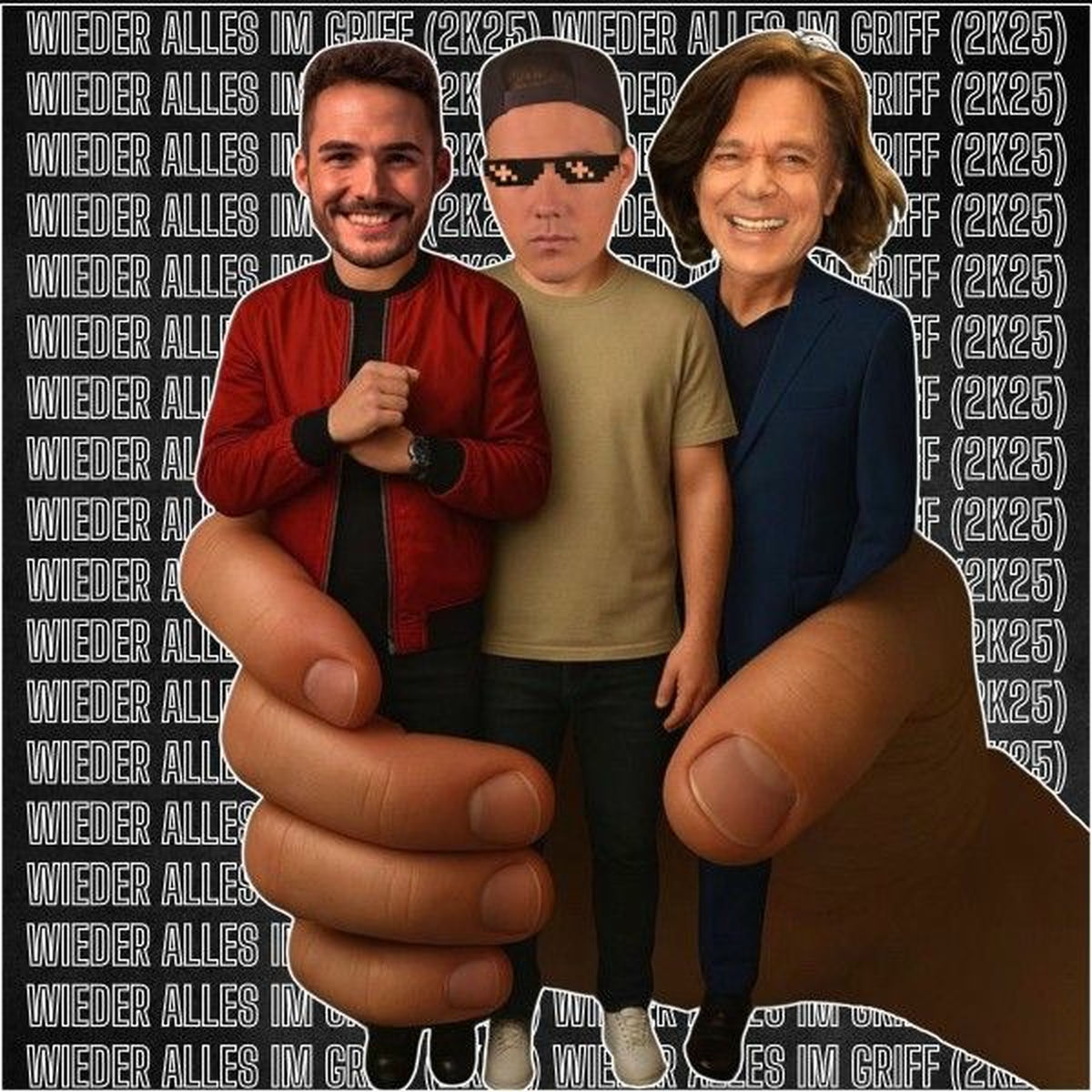 Album cover of Wieder Alles Im Griff (2K25)