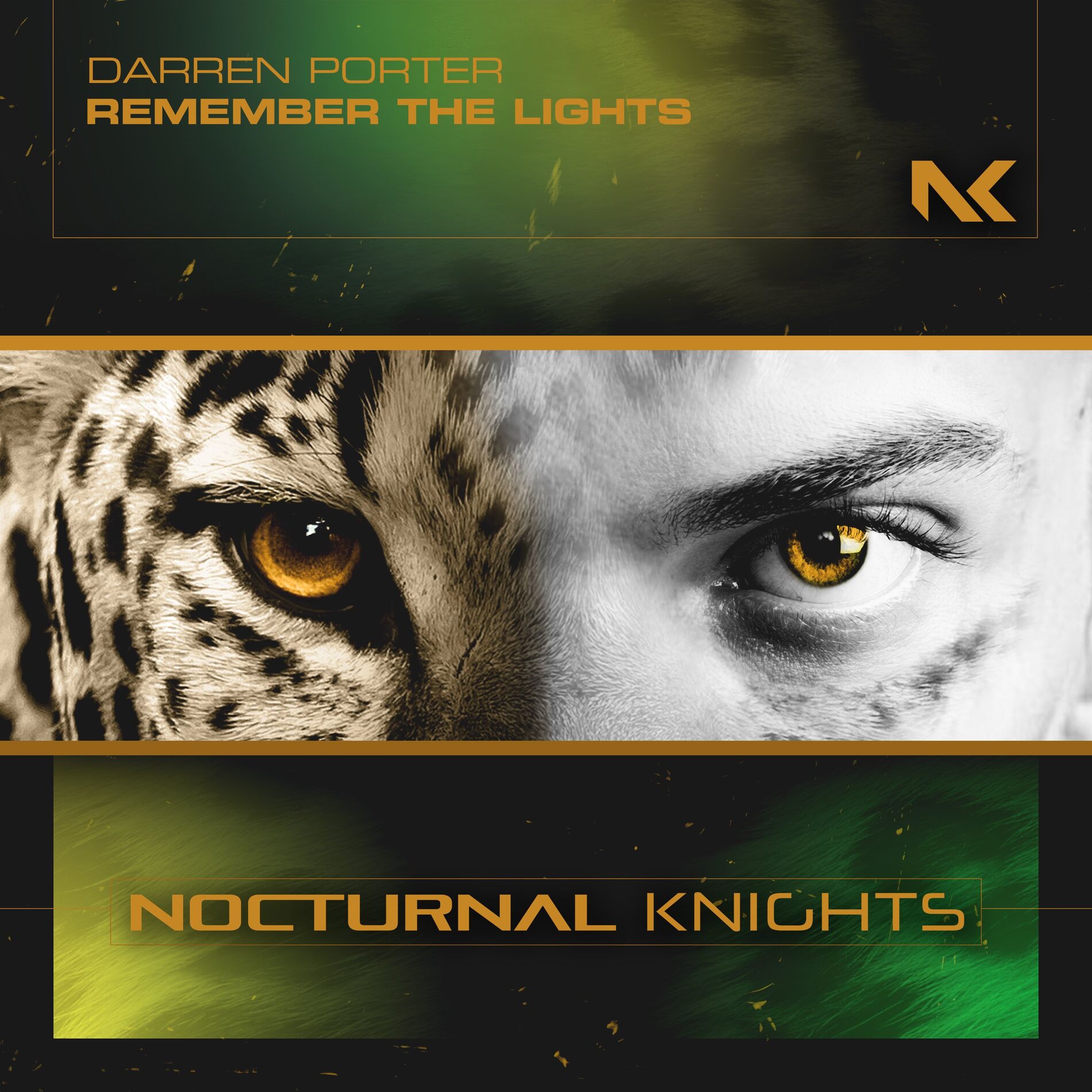 Album cover of Remember the Lights