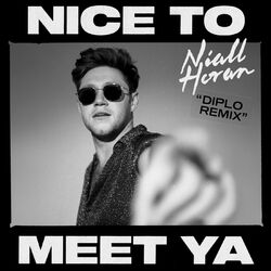 Cover of Nice To Meet Ya (Diplo Remix)