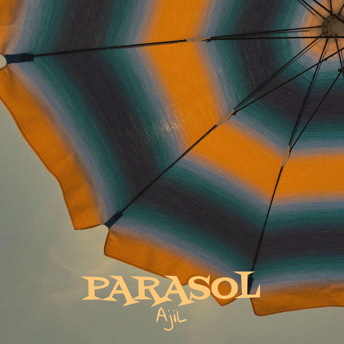 Album cover of Parasol