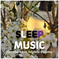 Cover of Sleep Music