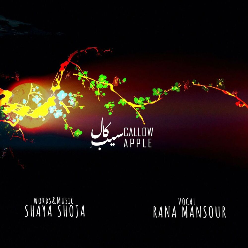 Picture of Sibe Kaal (Callow Apple)
