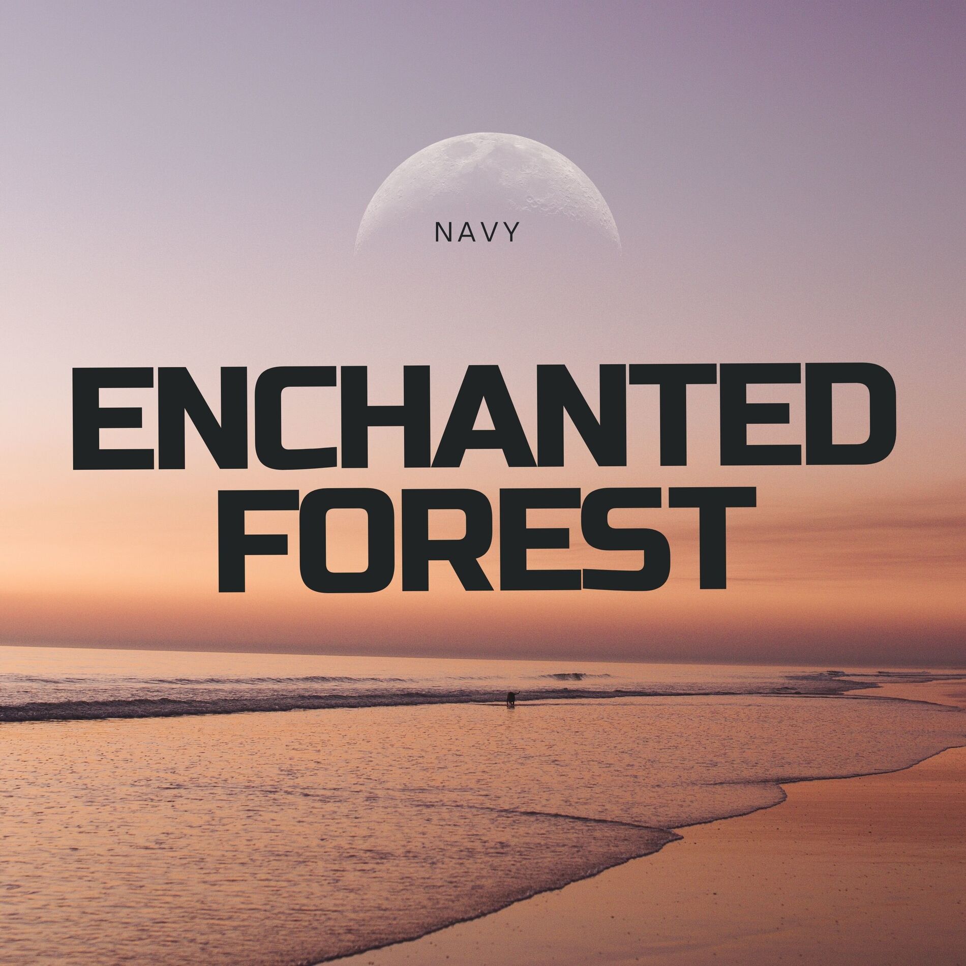 Album cover of Enchanted Forest