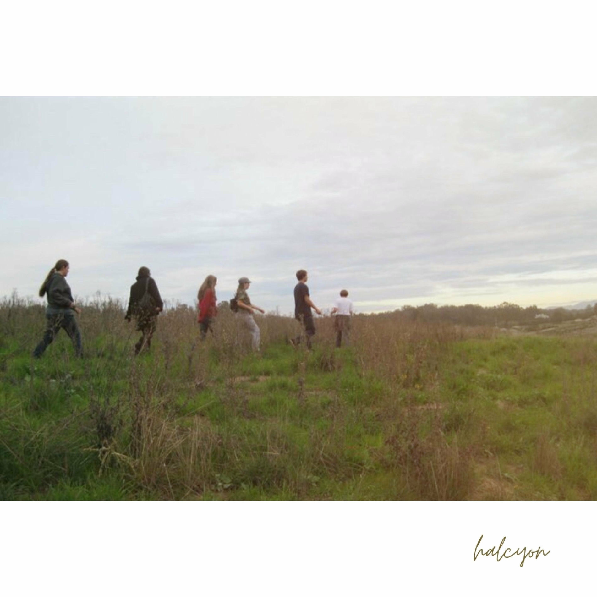 Album cover of halcyon