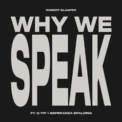 Cover of Why We Speak