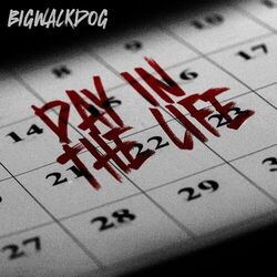 Cover of Day in the Life