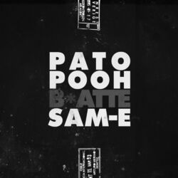Cover of Blatte