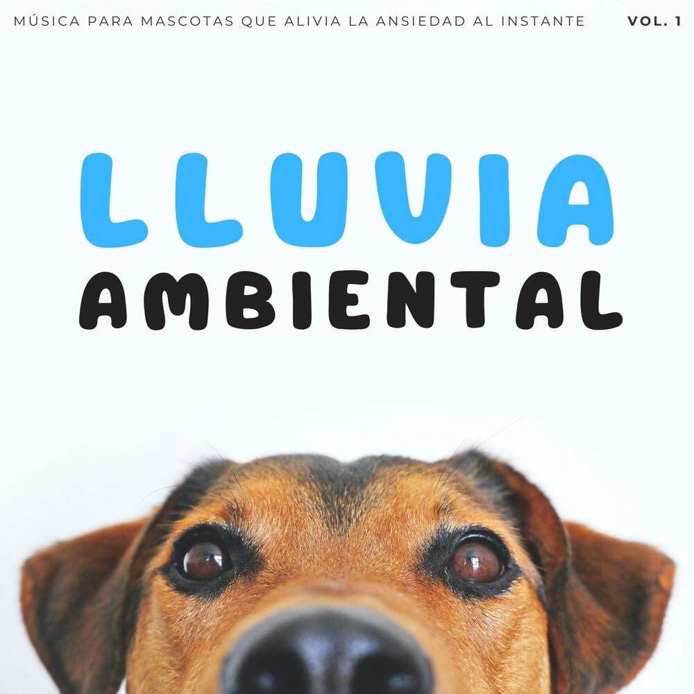 Picture of Lluvia Ambiental: Música Para Mascotas Que Alivia La Ansiedad Al Instante Vol. 1