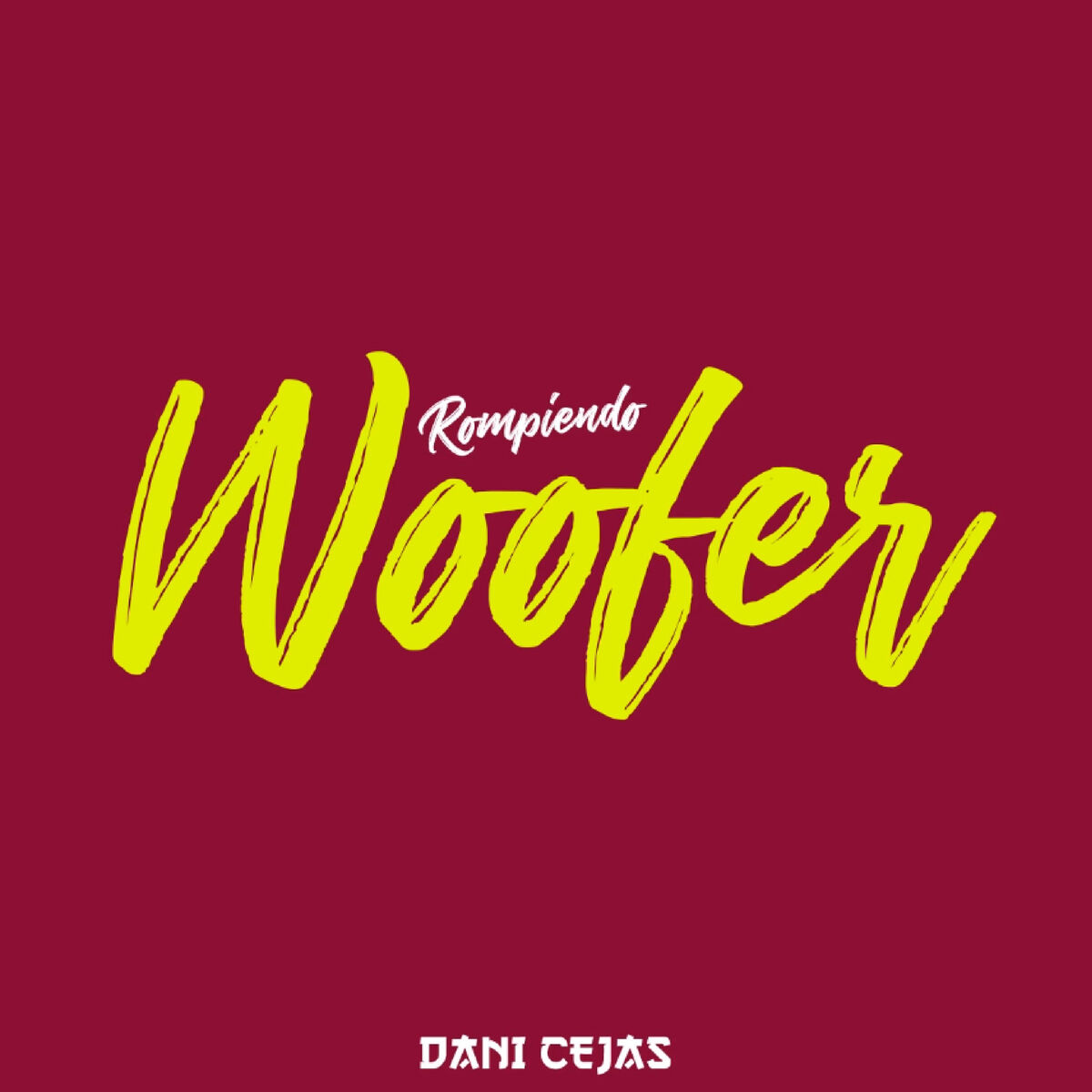 Album cover of Rompiendo Woofer