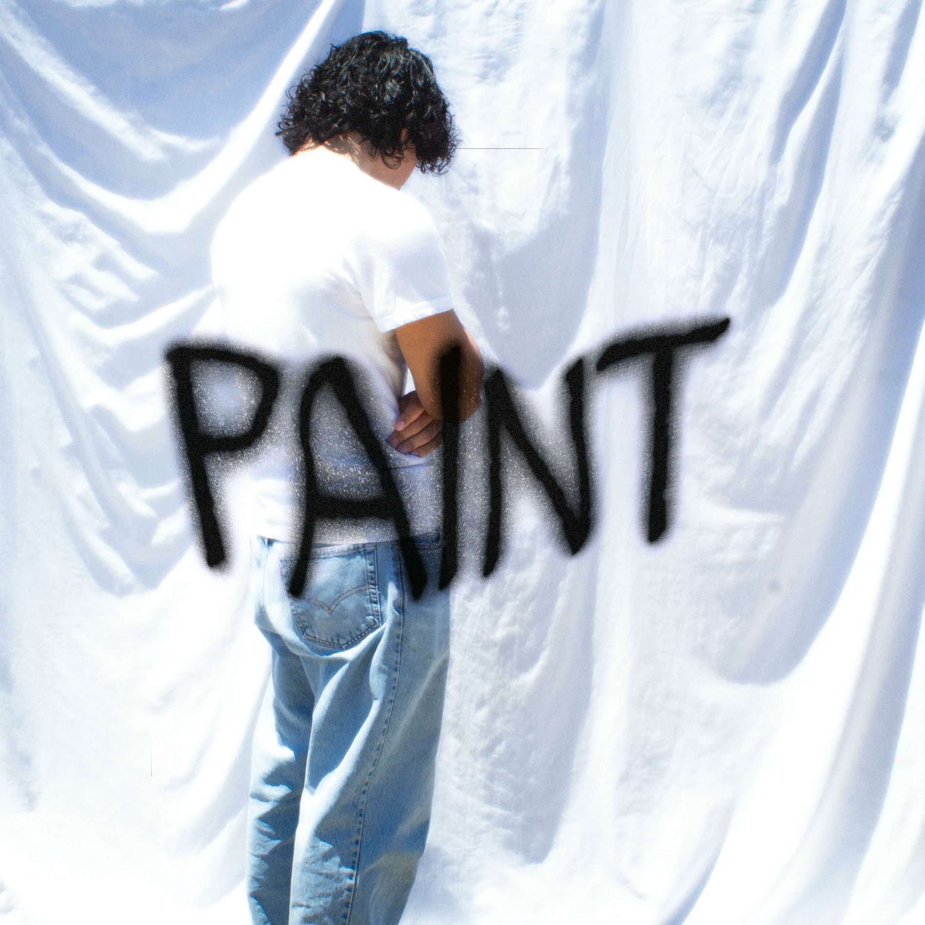 Album cover of PAINT