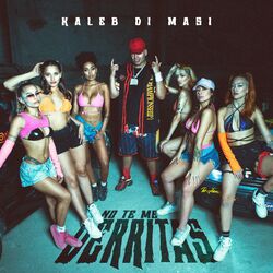 Cover of No Te Me Derritas