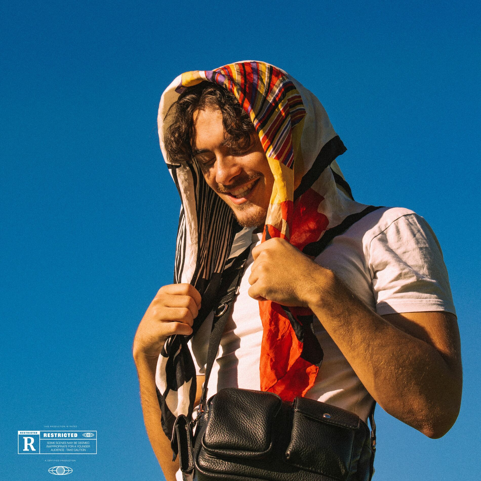 Album cover of Shake Da