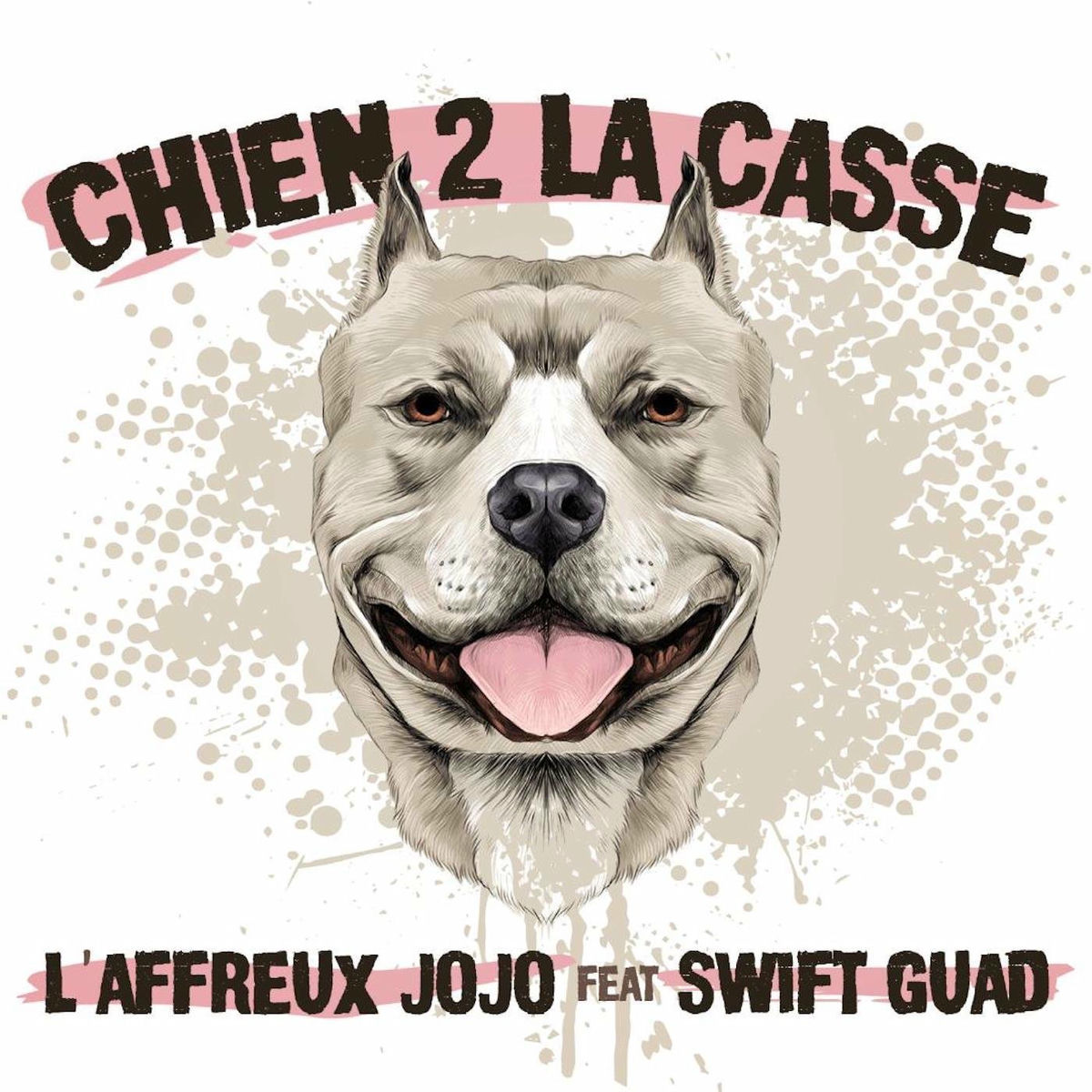 Album cover of Chien 2 la casse