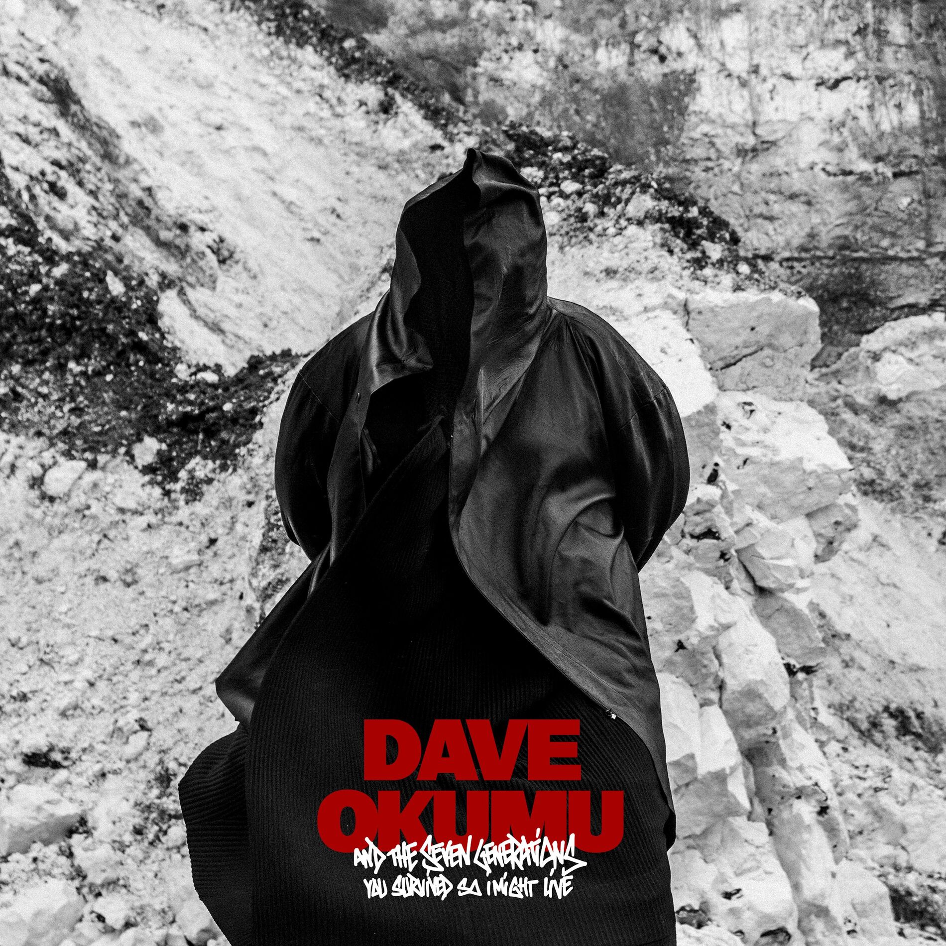 Album cover of You Survived So I Might Live