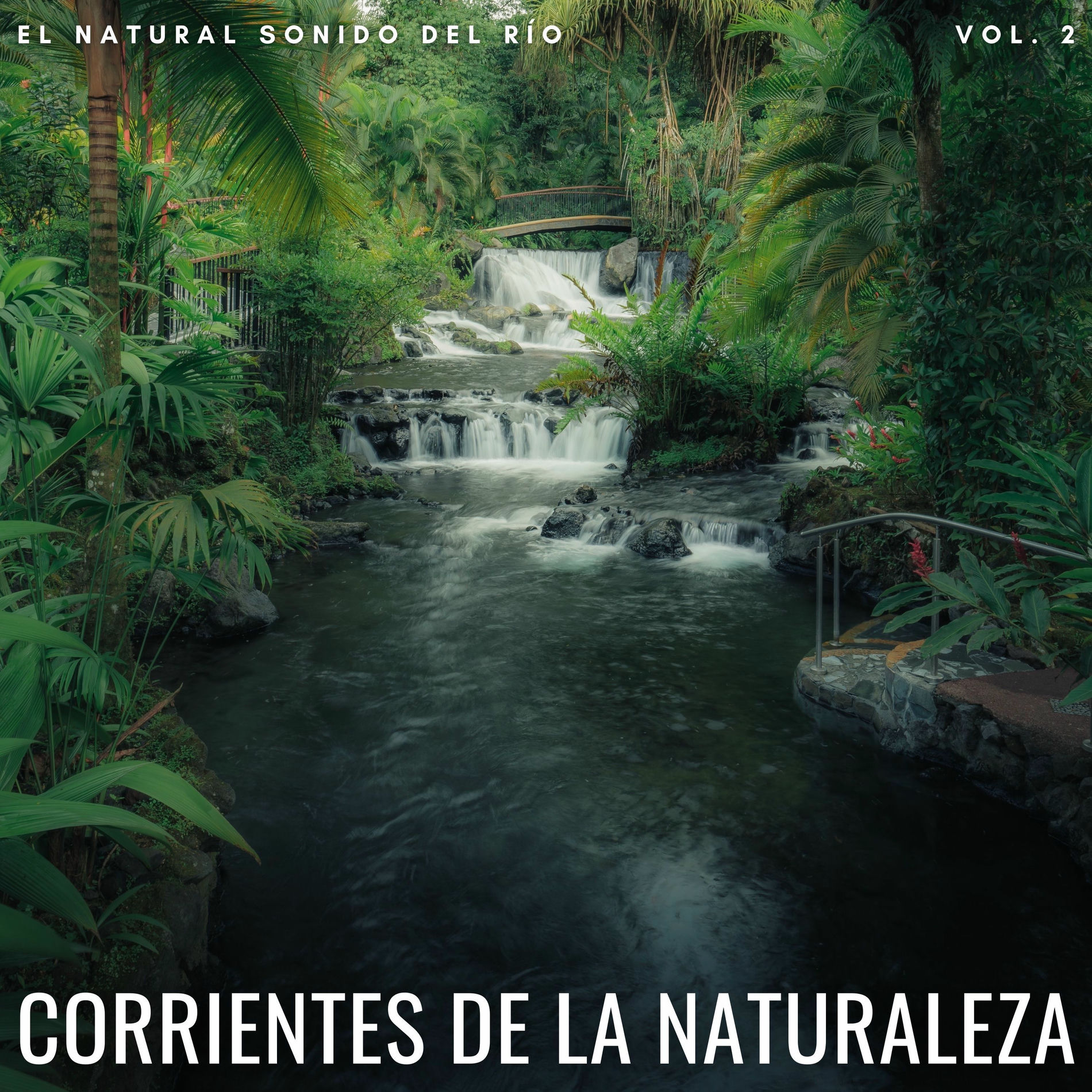 Album cover of Corrientes De La Naturaleza: El Natural Sonido Del Río Vol. 2