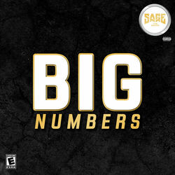 Cover of Big Numbers
