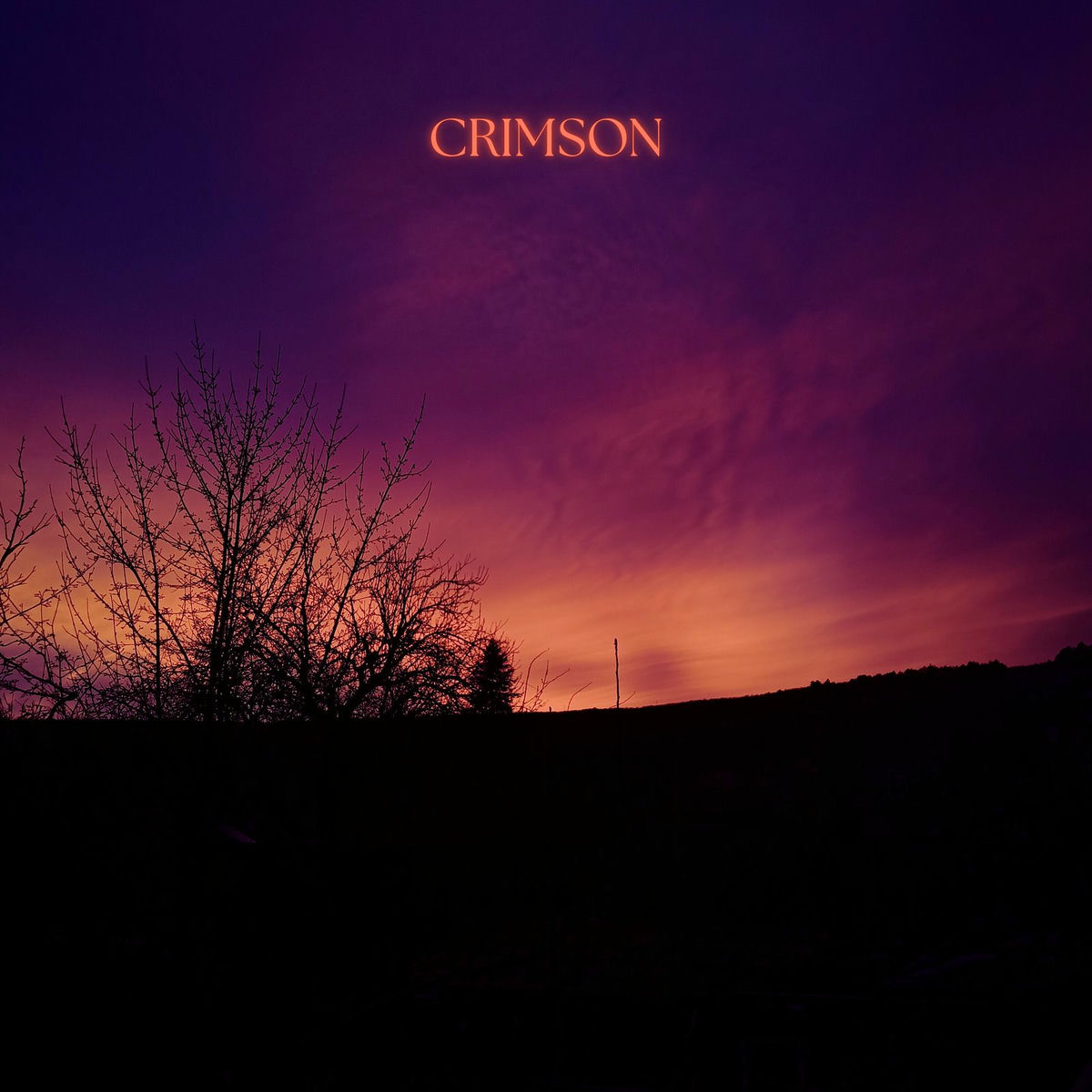 Album cover of Crimson