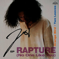 Cover of Rapture EP