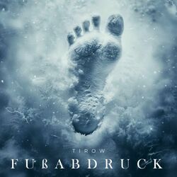 Cover of Fußabdruck
