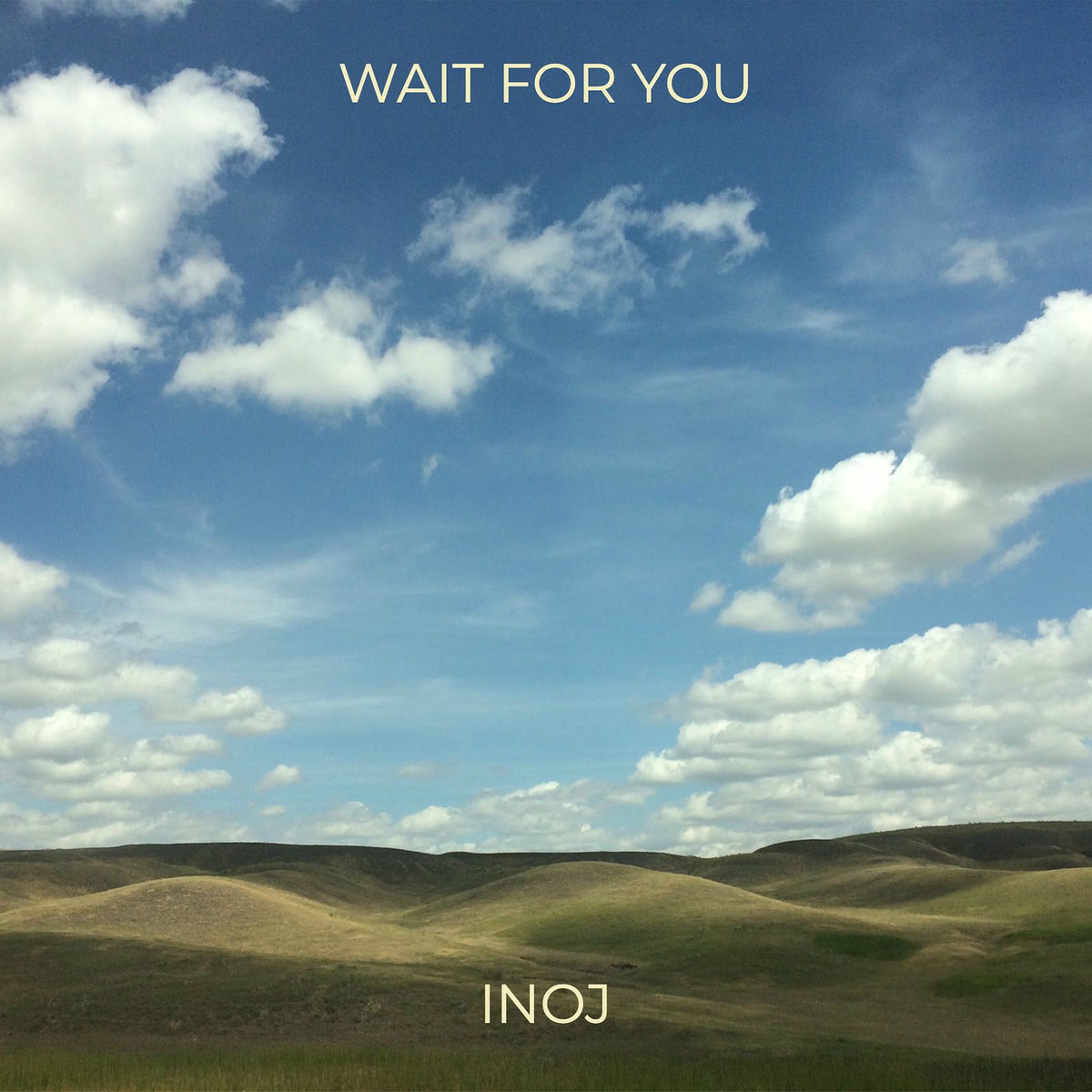 Album cover of Wait for You