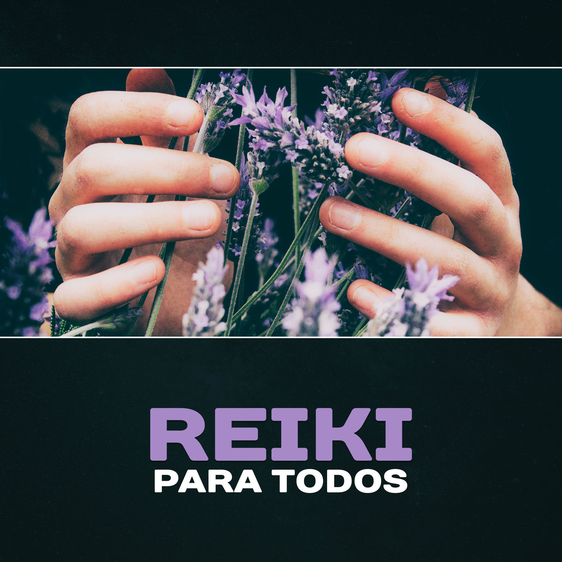 Album cover of Longa Sessão