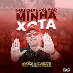 Cover of Vou Chacoalhar Minha Xota
