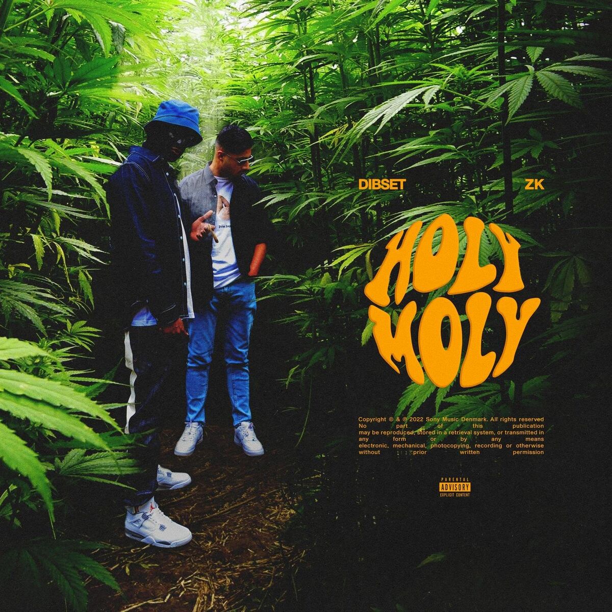 Album cover of Holy Moly (feat. ZK)