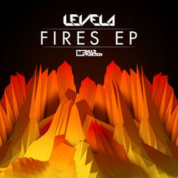 Cover of Fires