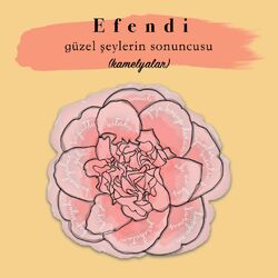 Cover of Güzel Şeylerin Sonuncusu (Kamelyalar)