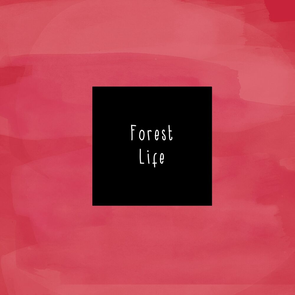 Picture of Forest Life