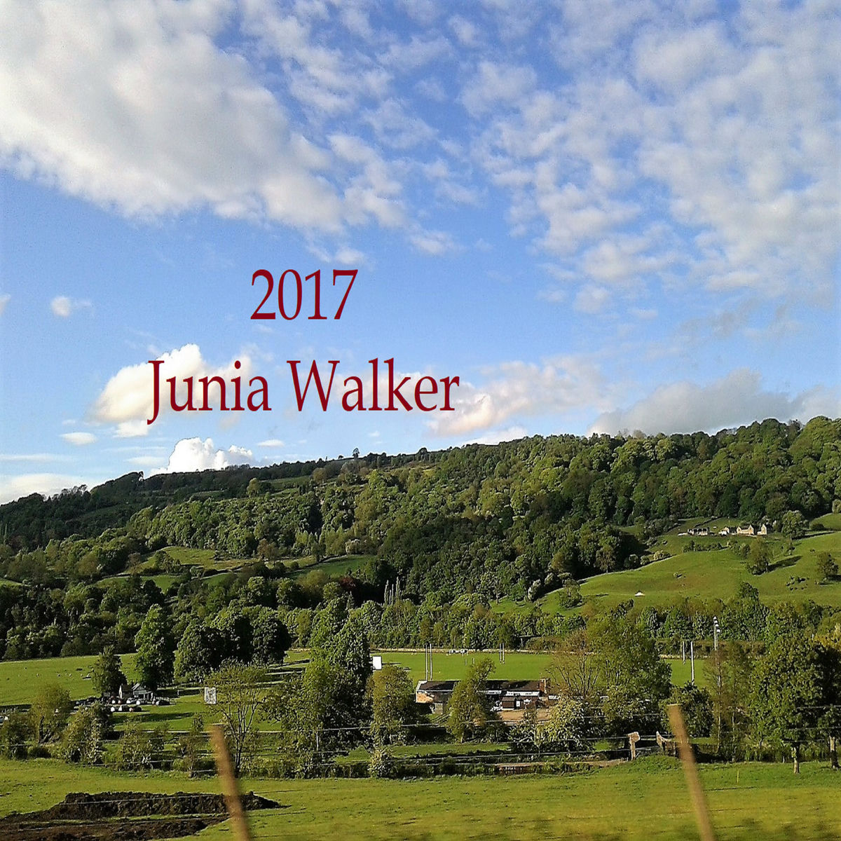 Album cover of 2017