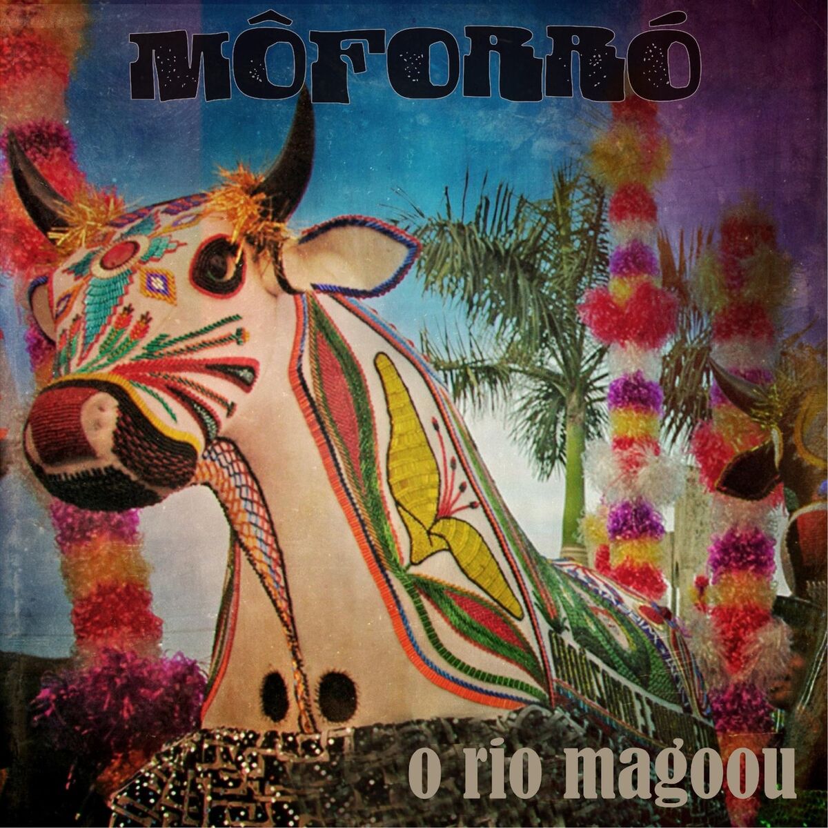 Album cover of O Rio Magoou