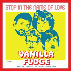 Cover of Stop in the Name of Love