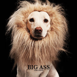 Cover of THE LION by undefined