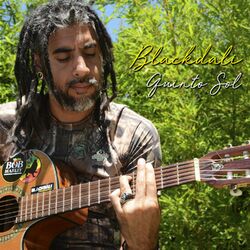 Cover of Quinto Sol