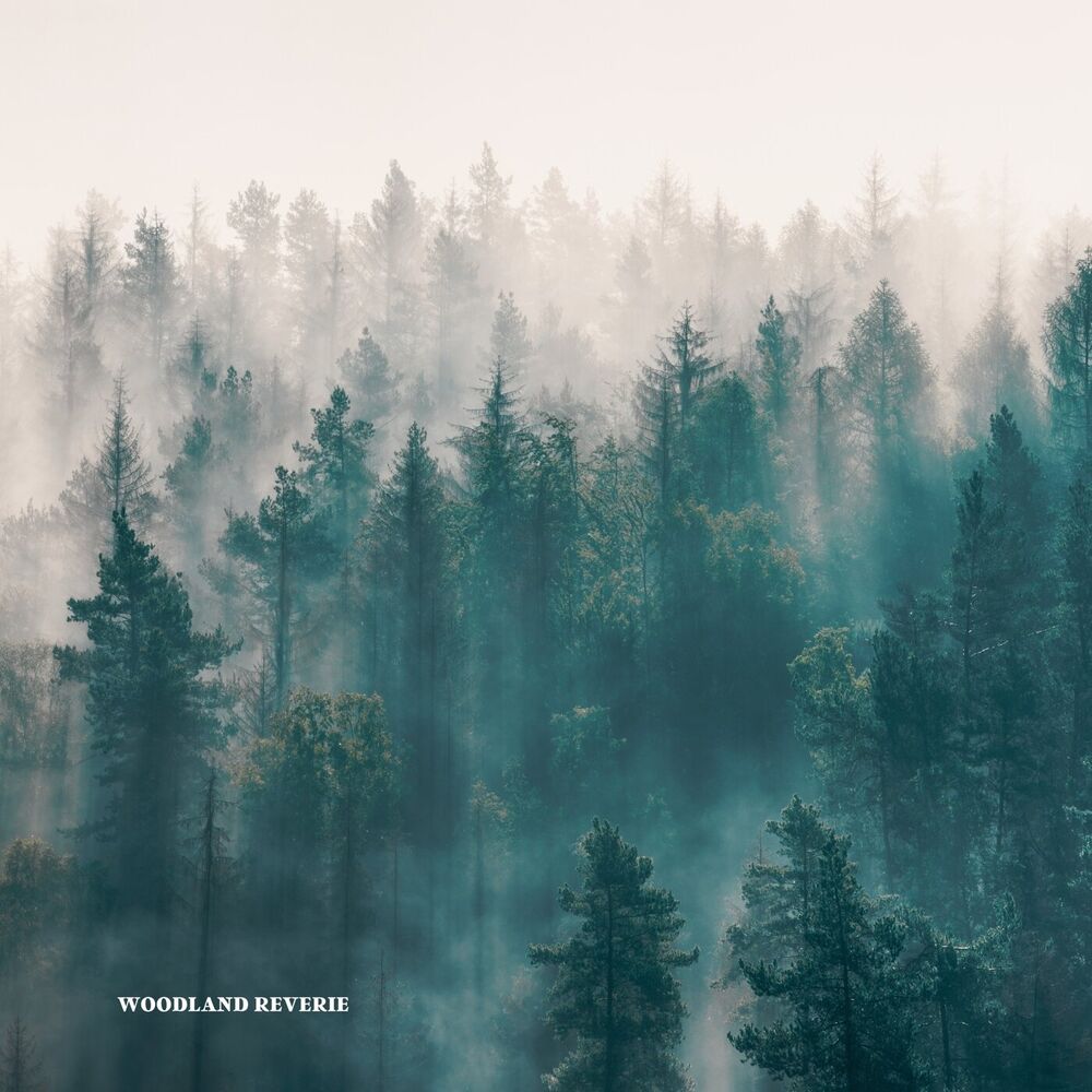 Picture of Woodland Reverie