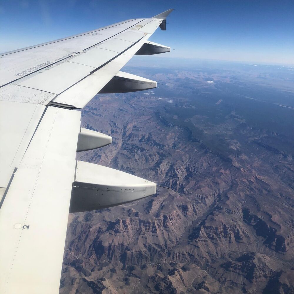 Picture of Fly Away