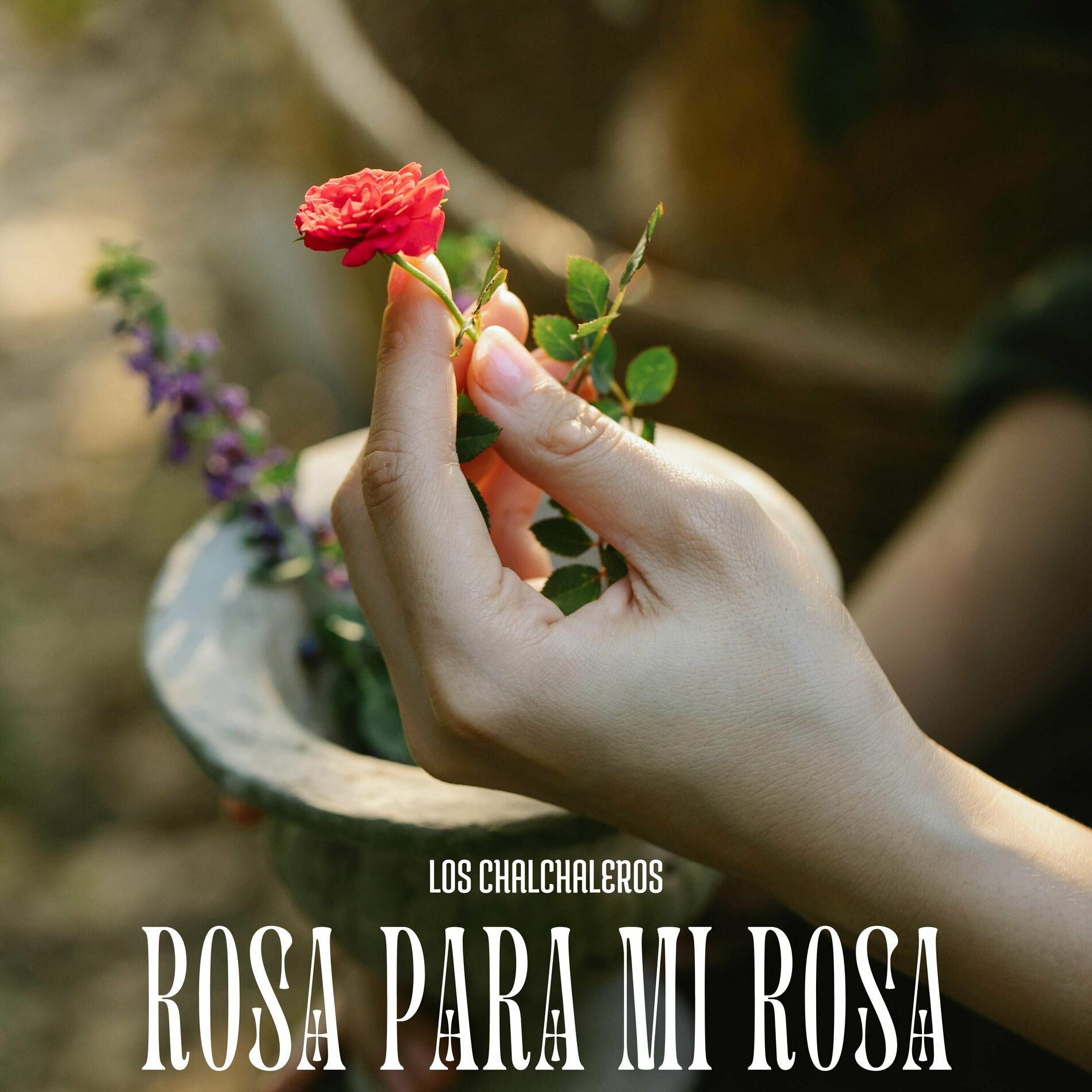 Album cover of Rosa Para Mi Rosa