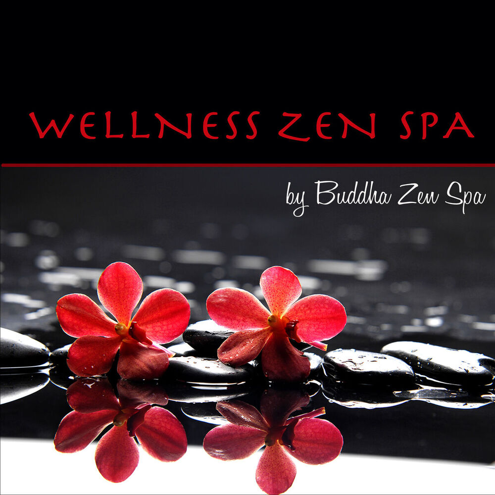 Picture of Wellness Zen Spa – Amazing Relaxing Spa Music, Lounge & Ambient Emotional Chill Songs for Massage