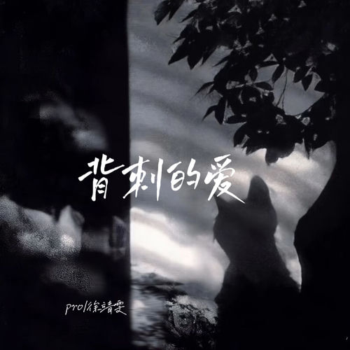 背刺的爱