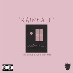 Cover of Rainfall