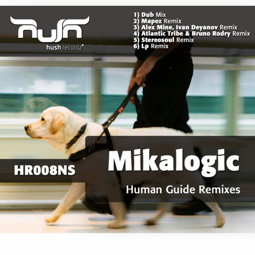 Picture of Human Guide (Remixes)