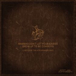 Cover of Mammas Don't Let Your Babies Grow Up To Be Cowboys (Live from the ACM Awards 2023)