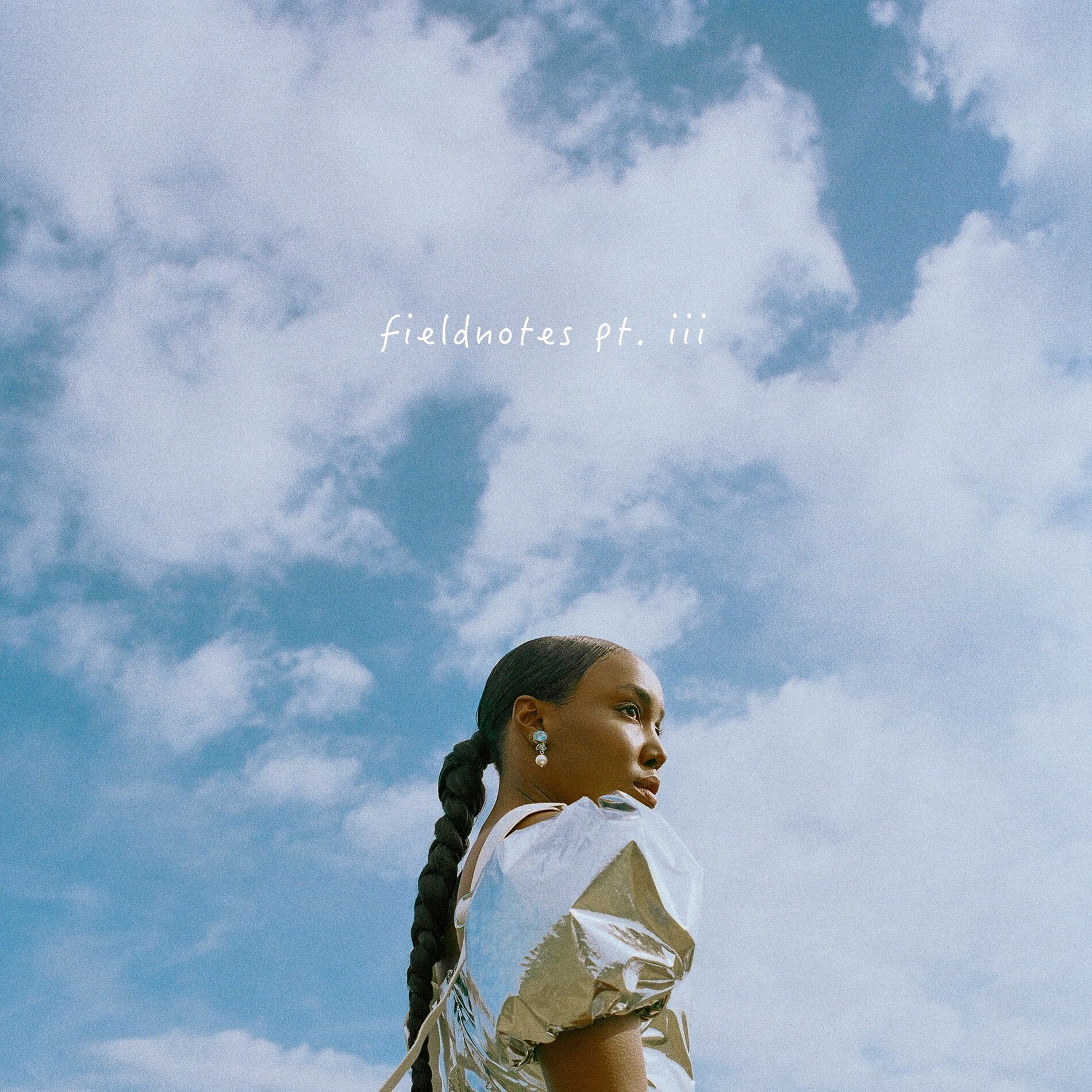 Album cover of FIELDNOTES PT III