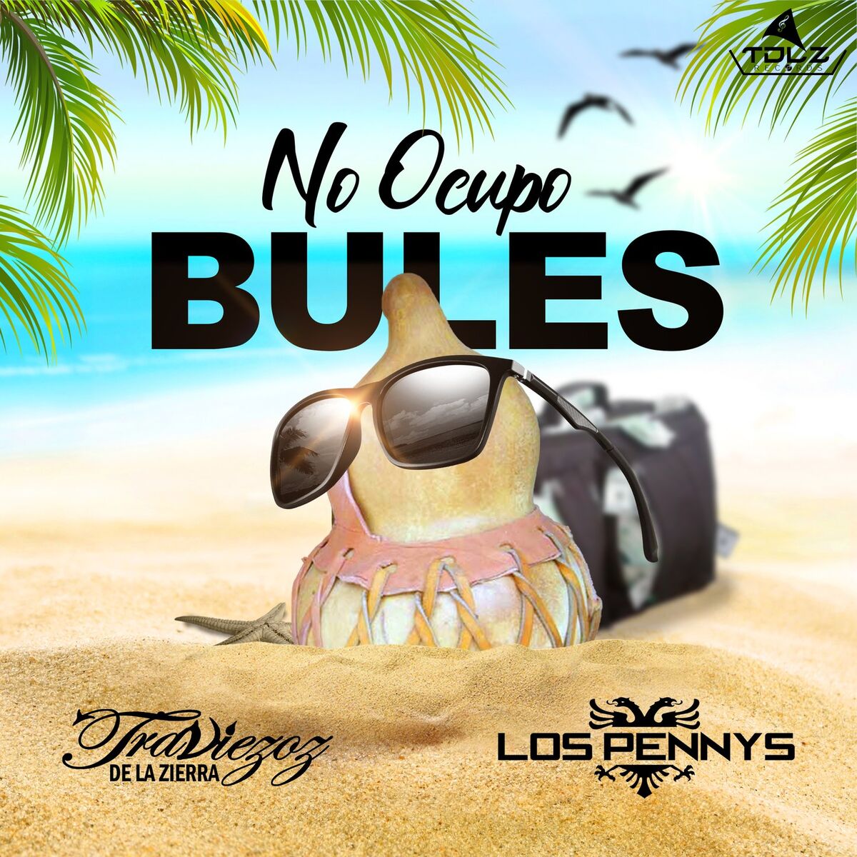 Album cover of No Ocupo Bules