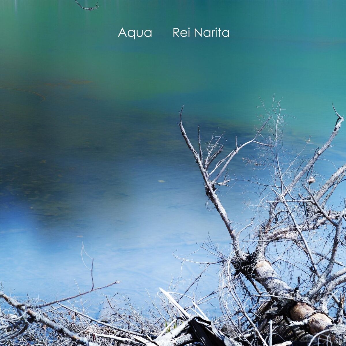 Album cover of Aqua